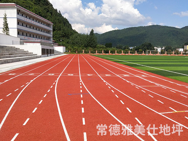 銅仁中學塑膠跑道、草坪